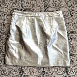 Silver Miniskirt